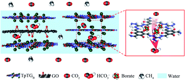 Graphical abstract: COF membranes with uniform and exchangeable facilitated transport carriers for efficient carbon capture