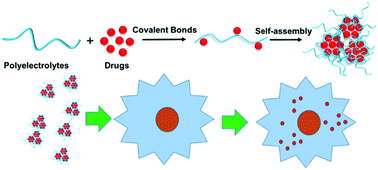 Graphical abstract: Controlled drug release from polyelectrolyte–drug conjugate nanoparticles