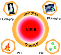 Graphical abstract: Tumor microenvironment-activated NIR-II reagents for tumor imaging and therapy