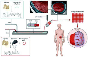 Graphical abstract: Coaxial mussel-inspired biofibers: making of a robust and efficacious depot for cancer drug delivery