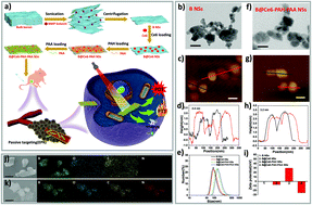 Graphical abstract: Boron-based nanosheets for combined cancer photothermal and photodynamic therapy