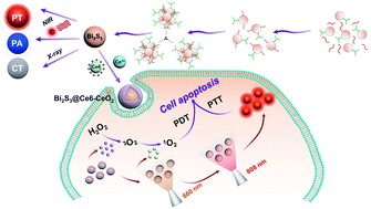 Graphical abstract: A one-pot synthesis of multifunctional Bi2S3 nanoparticles and the construction of core–shell Bi2S3@Ce6–CeO2 nanocomposites for NIR-triggered phototherapy