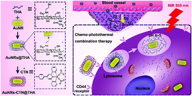 Graphical abstract: Hyaluronic acid functionalized gold nanorods combined with copper-based therapeutic agents for chemo-photothermal cancer therapy