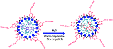 Graphical abstract: Rational design of water-dispersible and biocompatible nanoprobes with H2S-triggered NIR emission for cancer cell imaging
