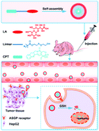 Graphical abstract: Redox-responsive amphiphilic camptothecin prodrug nanoparticles for targeted liver tumor therapy