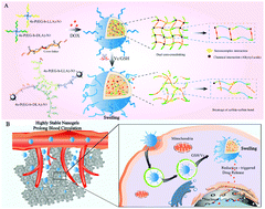 Graphical abstract: Exogenous vitamin C triggered structural changes of redox-activated dual core-crosslinked biodegradable nanogels for boosting the antitumor efficiency