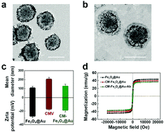 Graphical abstract: Biomimetic immunomagnetic gold hybrid nanoparticles coupled with inductively coupled plasma mass spectrometry for the detection of circulating tumor cells