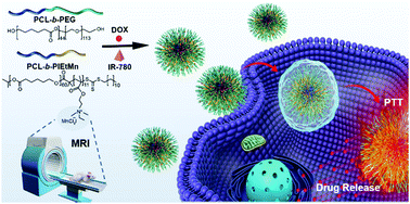 Graphical abstract: Self-assembly of paramagnetic amphiphilic copolymers for synergistic therapy