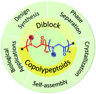 Graphical abstract: Diblock copolypeptoids: a review of phase separation, crystallization, self-assembly and biological applications