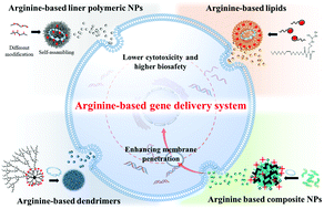 Graphical abstract: Progress in arginine-based gene delivery systems