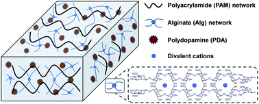 Graphical abstract: A high-strength double network polydopamine nanocomposite hydrogel for adhesion under seawater