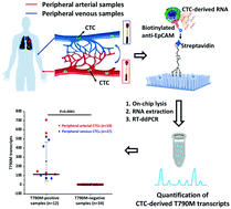 Graphical abstract: A circulating tumor cell-based digital assay for the detection of EGFR T790M mutation in advanced non-small cell lung cancer