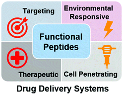 Graphical abstract: Functional peptide-based drug delivery systems