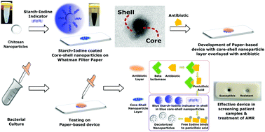 Graphical abstract: Core–shell nanoparticles as platform technologies for paper based point-of-care devices to detect antimicrobial resistance