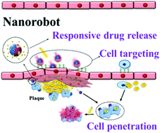 Graphical abstract: Platelet-derived nanomotor coated balloon for atherosclerosis combination therapy
