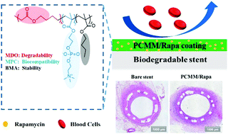 Graphical abstract: Biodegradable phosphorylcholine copolymer for cardiovascular stent coating