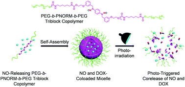 Graphical abstract: Photo-degradable micelles for co-delivery of nitric oxide and doxorubicin