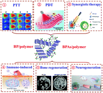 Graphical abstract: Progress in the therapeutic applications of polymer-decorated black phosphorus and black phosphorus analog nanomaterials in biomedicine