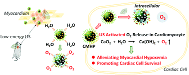Graphical abstract: An ultrasound activated oxygen generation nanosystem specifically alleviates myocardial hypoxemia and promotes cell survival following acute myocardial infarction