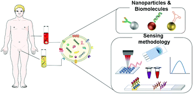 Graphical abstract: Nanoparticle-based biosensors for detection of extracellular vesicles in liquid biopsies