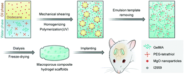 Graphical abstract: Engineered macroporous hydrogel scaffolds via pickering emulsions stabilized by MgO nanoparticles promote bone regeneration