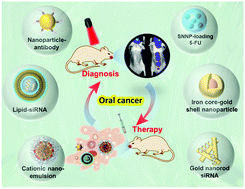 Graphical abstract: Nanotechnology-based drug delivery systems for enhanced diagnosis and therapy of oral cancer