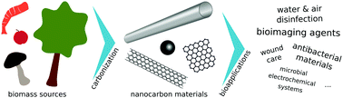 Graphical abstract: Biomass-derived nanocarbon materials for biological applications: challenges and prospects
