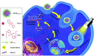 Graphical abstract: Photoactivated polyprodrug nanoparticles for effective light-controlled Pt(iv) and siRNA codelivery to achieve synergistic cancer therapy