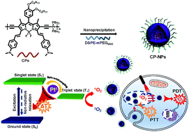 Graphical abstract: Rational design of near-infrared platinum(ii)-acetylide conjugated polymers for photoacoustic imaging-guided synergistic phototherapy under 808 nm irradiation