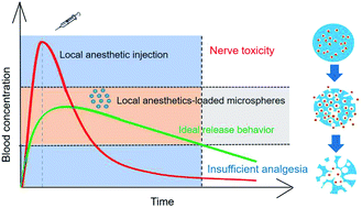 Graphical abstract: Recent research and development of local anesthetic-loaded microspheres