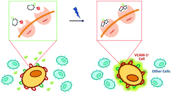 Graphical abstract: Photoinduced reconfiguration to control the protein-binding affinity of azobenzene-cyclized peptides