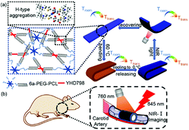 Graphical abstract: A near-infrared light-triggered shape-memory polymer for long-time fluorescence imaging in deep tissues