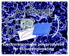 Graphical abstract: Smart design for a flexible, functionalized and electroresponsive hybrid platform based on poly(3,4-ethylenedioxythiophene) derivatives to improve cell viability