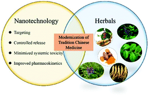Graphical abstract: Research progress on nanotechnology for delivery of active ingredients from traditional Chinese medicines