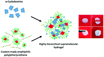 Graphical abstract: Supramolecular hydrogels based on custom-made poly(ether urethane)s and cyclodextrins as potential drug delivery vehicles: design and characterization