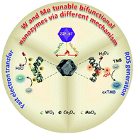 Graphical abstract: A tunable bifunctional hollow Co3O4/MO3 (M = Mo, W) mixed-metal oxide nanozyme for sensing H2O2 and screening acetylcholinesterase activity and its inhibitor