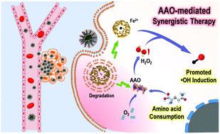 Graphical abstract: Delivery of amino acid oxidase via catalytic nanocapsules to enable effective tumor inhibition