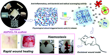 Graphical abstract: Bioresponsive supramolecular hydrogels for hemostasis, infection control and accelerated dermal wound healing