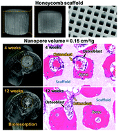 Graphical abstract: Effects of nanopores on the mechanical strength, osteoclastogenesis, and osteogenesis in honeycomb scaffolds