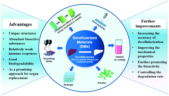 Graphical abstract: Applications of decellularized materials in tissue engineering: advantages, drawbacks and current improvements, and future perspectives