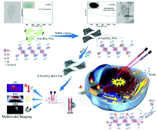 Graphical abstract: Defect-engineered transition metal hydroxide nanosheets realizing tumor-microenvironment-responsive multimodal-imaging-guided NIR-II photothermal therapy