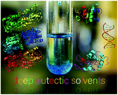 Graphical abstract: The study and application of biomolecules in deep eutectic solvents