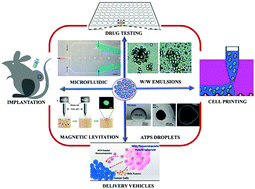 Graphical abstract: Advanced biomedical applications based on emerging 3D cell culturing platforms