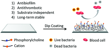 Graphical abstract: Phosphorylcholine- and cation-bearing copolymer coating with superior antibiofilm and antithrombotic properties for blood-contacting devices