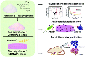 Graphical abstract: Antibacterial and anti-inflammatory ultrahigh molecular weight polyethylene/tea polyphenol blends for artificial joint applications