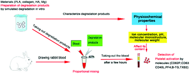 Graphical abstract: Evaluating platelet activation related to the degradation products of biomaterials using molecular markers