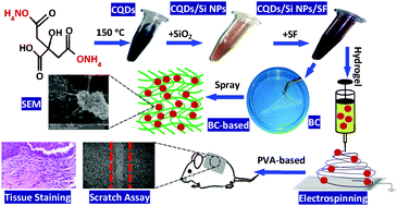 Graphical abstract: PVA based nanofiber containing CQDs modified with silica NPs and silk fibroin accelerates wound healing in a rat model