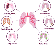 Graphical abstract: Current advances in drug delivery of nanoparticles for respiratory disease treatment