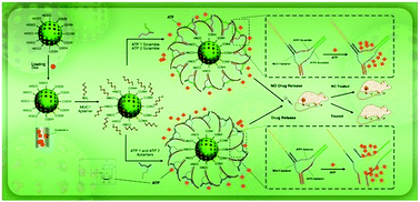 Graphical abstract: Targeted delivery and controlled release of doxorubicin to cancer cells by smart ATP-responsive Y-shaped DNA structure-capped mesoporous silica nanoparticles