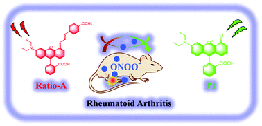 Graphical abstract: A rapid response near-infrared ratiometric fluorescent probe for the real-time tracking of peroxynitrite for pathological diagnosis and therapeutic assessment in a rheumatoid arthritis model